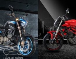 مقایسه زونتس و بنلی