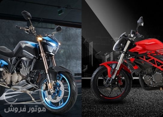 مقایسه زونتس و بنلی